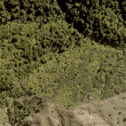 Satellite imagery of PUKERATA NO 2, NZ