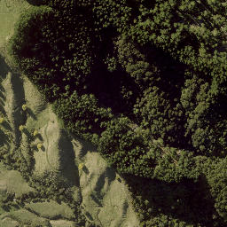 Satellite imagery of PUKEATUA NO 2, NZ