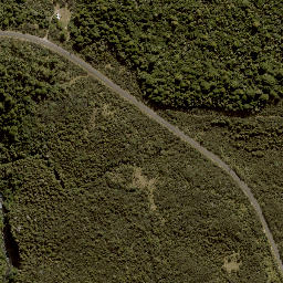 Satellite imagery of X (MOW), NZ