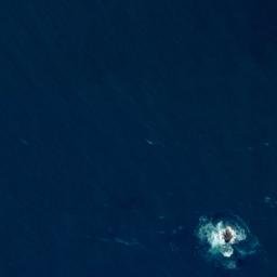 Satellite imagery of Seal Rocks, NZ