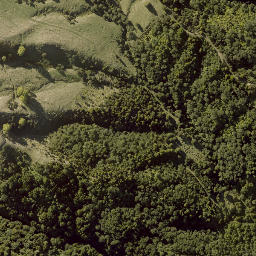 Satellite imagery of PUKEATUA NO 2, NZ