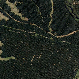 Satellite imagery of A2 (Pihanga SD), NZ