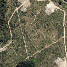 Satellite imagery of A2 (Pihanga SD), NZ