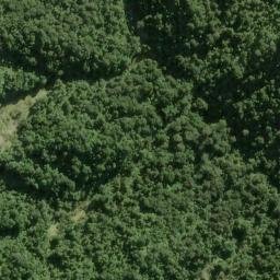 Satellite imagery of C WAIKAUWIA, NZ