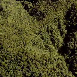 Satellite imagery of B TUKUTAHORA, NZ