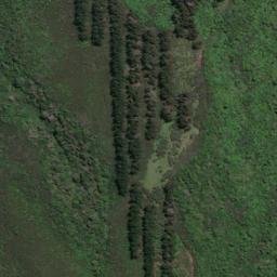 Satellite imagery of 11211, NZ