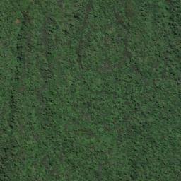 Satellite imagery of 11211, NZ