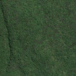 Satellite imagery of 11211, NZ