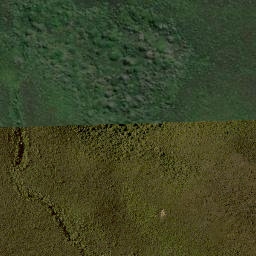 Satellite imagery of 11211, NZ