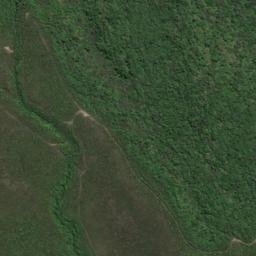 Satellite imagery of 11211, NZ