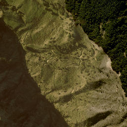 Satellite imagery of F NO 2, NZ