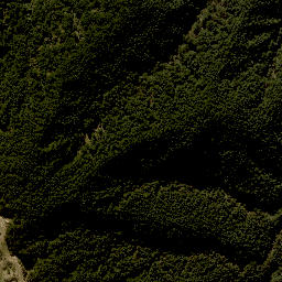Satellite imagery of F NO 2, NZ
