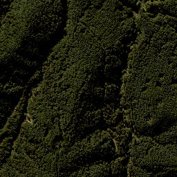 Satellite imagery of F NO 2, NZ