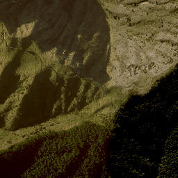 Satellite imagery of F NO 2, NZ