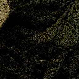 Satellite imagery of F NO 2, NZ