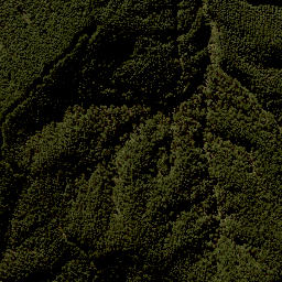 Satellite imagery of F NO 2, NZ