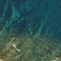 Satellite imagery of Putiki Point, NZ