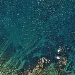 Satellite imagery of Putiki Point, NZ
