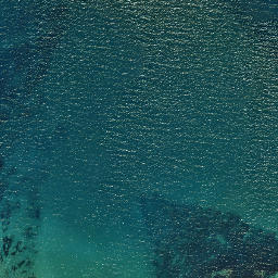Satellite imagery of Putiki Point, NZ