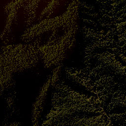 Satellite imagery of F NO 2, NZ