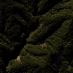 Satellite imagery of F NO 2, NZ
