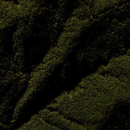 Satellite imagery of F NO 2, NZ