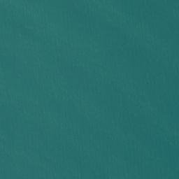 Satellite imagery of Whakatakahe Head, NZ