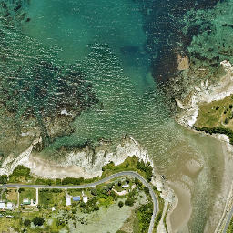 Satellite imagery of Putiki Point, NZ