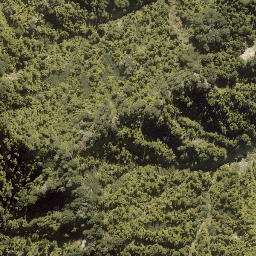 Satellite imagery of Makakote Pa, NZ