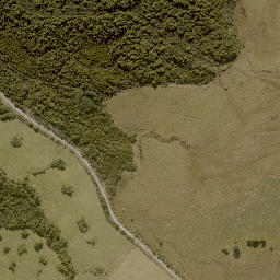 Satellite imagery of 11241, NZ
