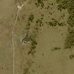 Satellite imagery of 11241, NZ
