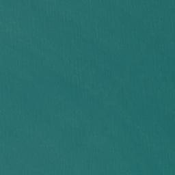 Satellite imagery of Whakatakahe Head, NZ