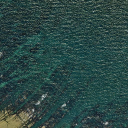 Satellite imagery of Table Cape, NZ