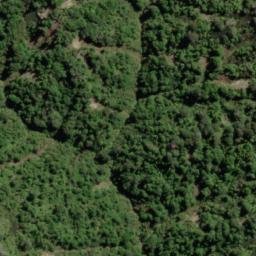 Satellite imagery of Man-of-War Bluff, NZ