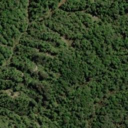 Satellite imagery of Owairua Pa, NZ