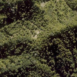 Satellite imagery of Makakote Pa, NZ