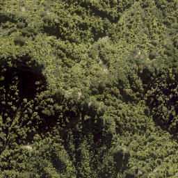 Satellite imagery of Makakote Pa, NZ