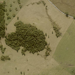 Satellite imagery of 11241, NZ