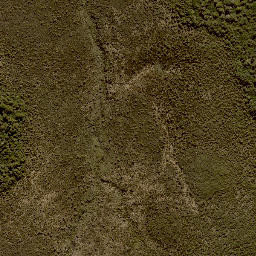 Satellite imagery of 11244, NZ