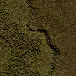 Satellite imagery of 11244, NZ