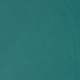 Satellite imagery of Whakatakahe Head, NZ