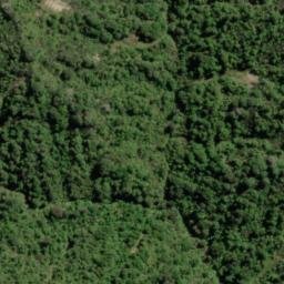 Satellite imagery of Man-of-War Bluff, NZ