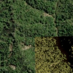Satellite imagery of Owairua Pa, NZ