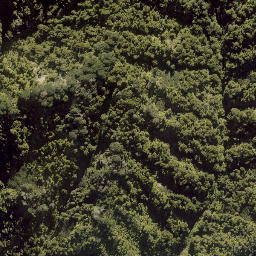 Satellite imagery of Kaiwhakauka Pa, NZ