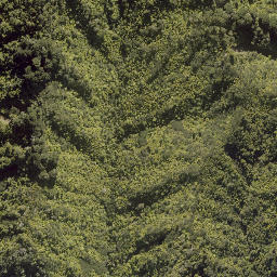 Satellite imagery of Kaiwhakauka Pa, NZ