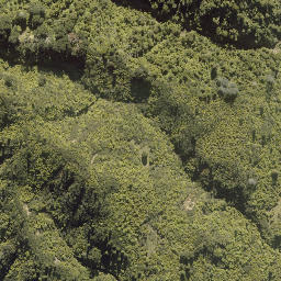 Satellite imagery of Kaiwhakauka Pa, NZ