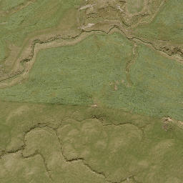 Satellite imagery of 11241, NZ