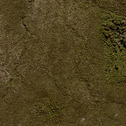 Satellite imagery of 11244, NZ