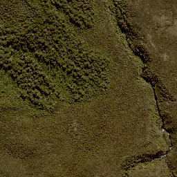 Satellite imagery of 11244, NZ