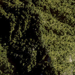Satellite imagery of Owairua Pa, NZ